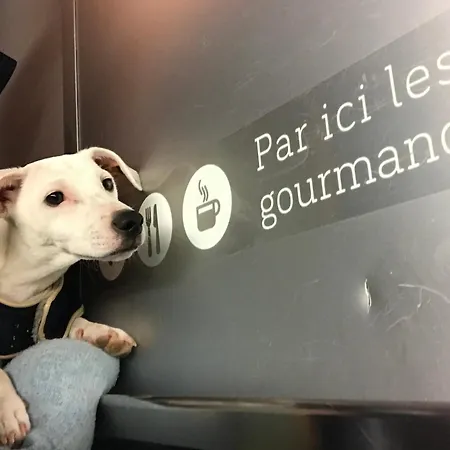 홈스테이 Shared For 2 Male Traveler Under 30s